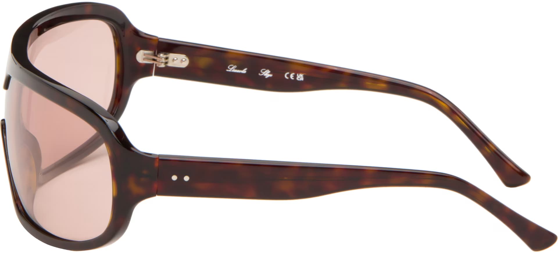 Brown Skye Sunglasses 3
