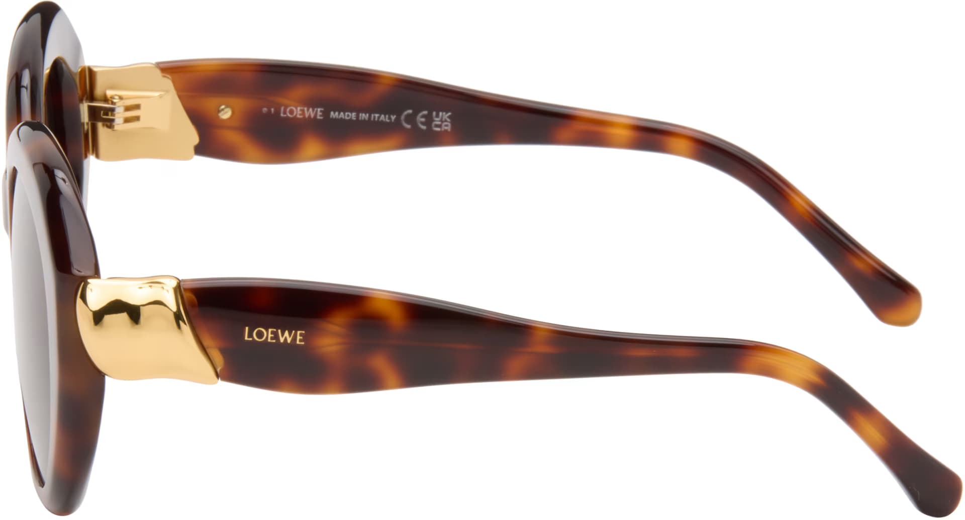 Brown Coil Round Sunglasses 3