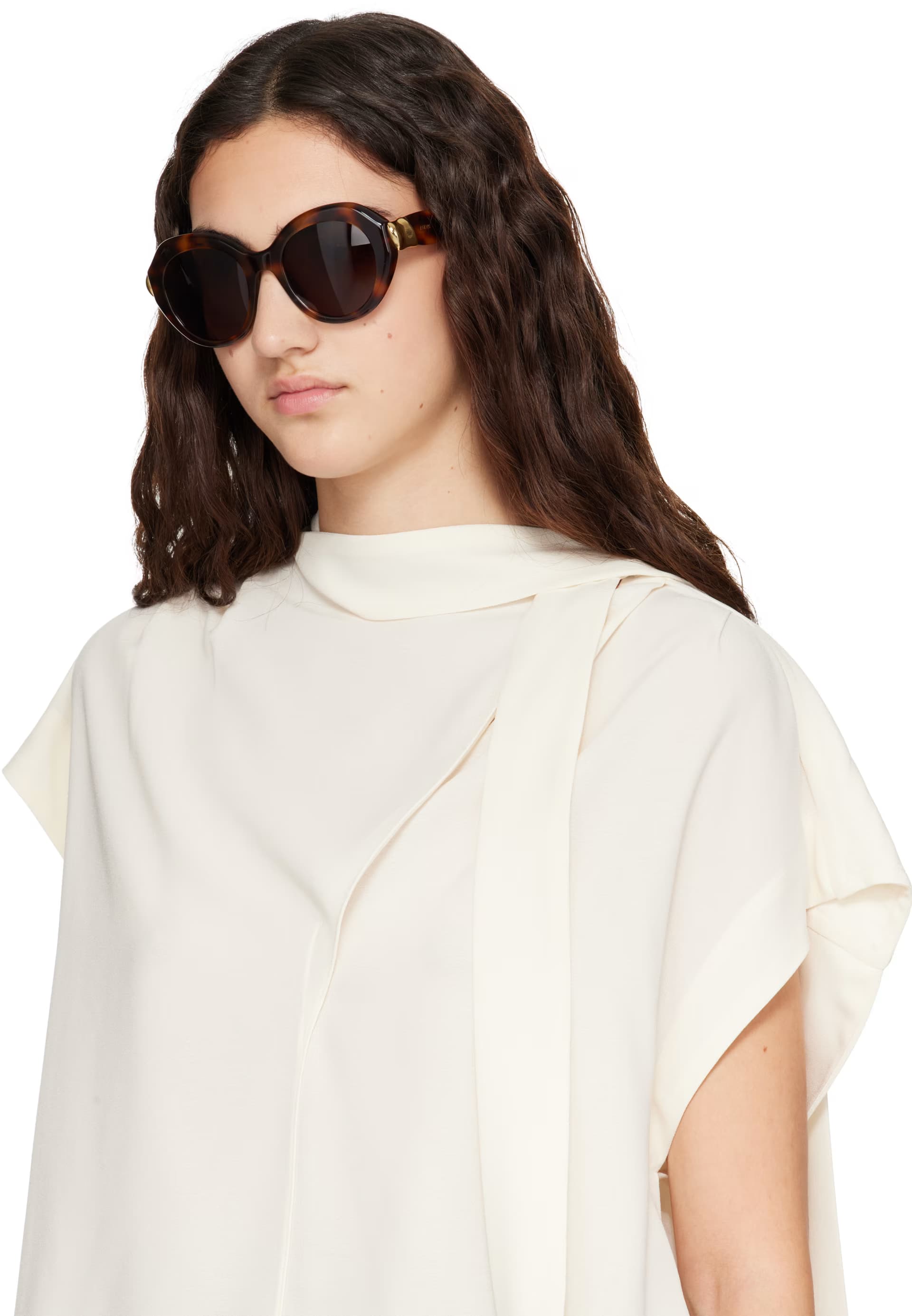 Brown Coil Round Sunglasses 4