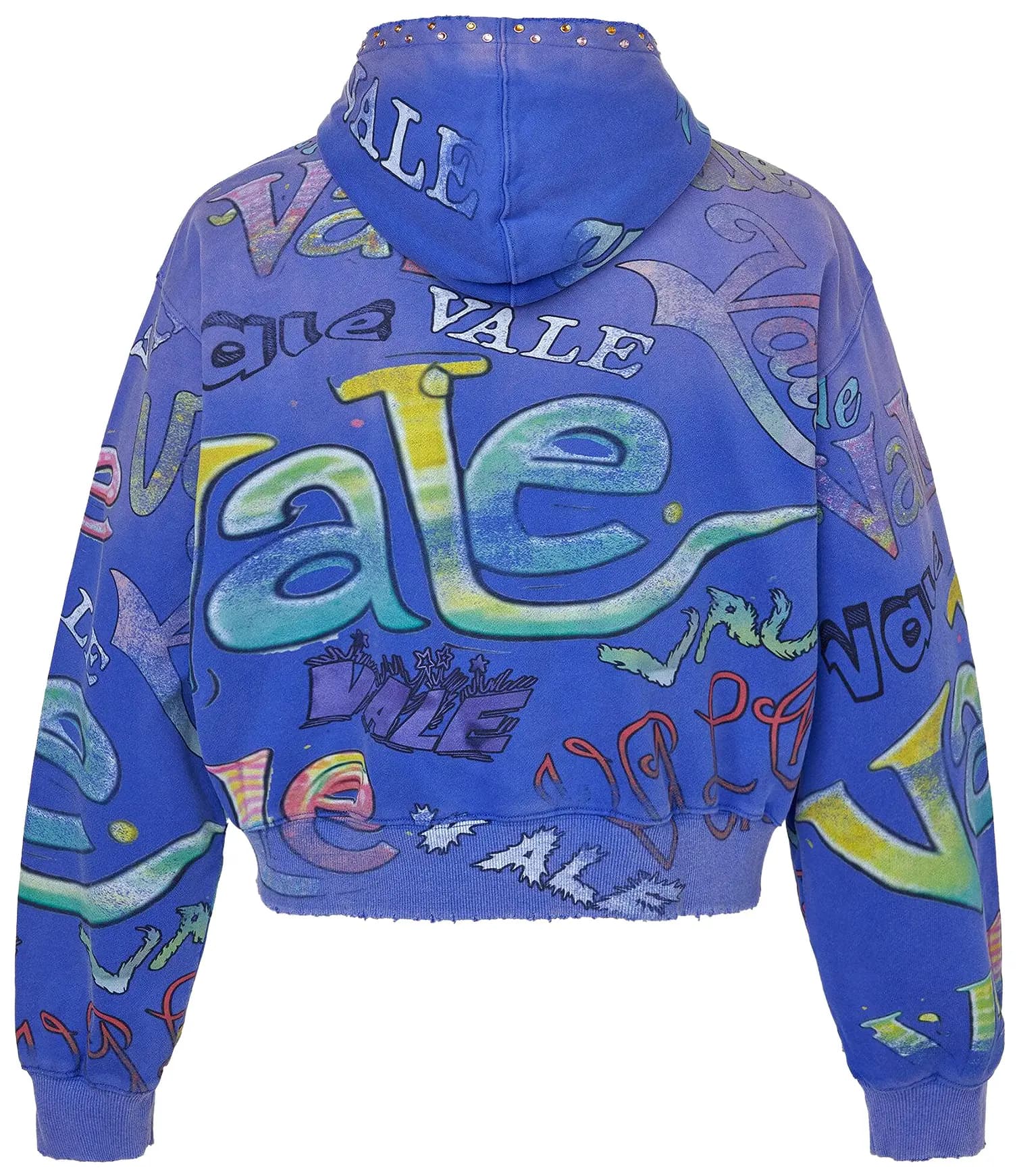 Vale Forever Iceberg Zip Up 'Blue' 2