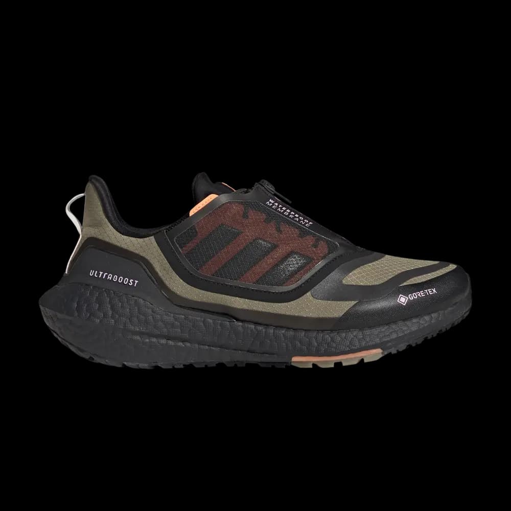 adidas UltraBoost 22 GORE-TEX 'Orbit Green Night Metallic' by Adidas
