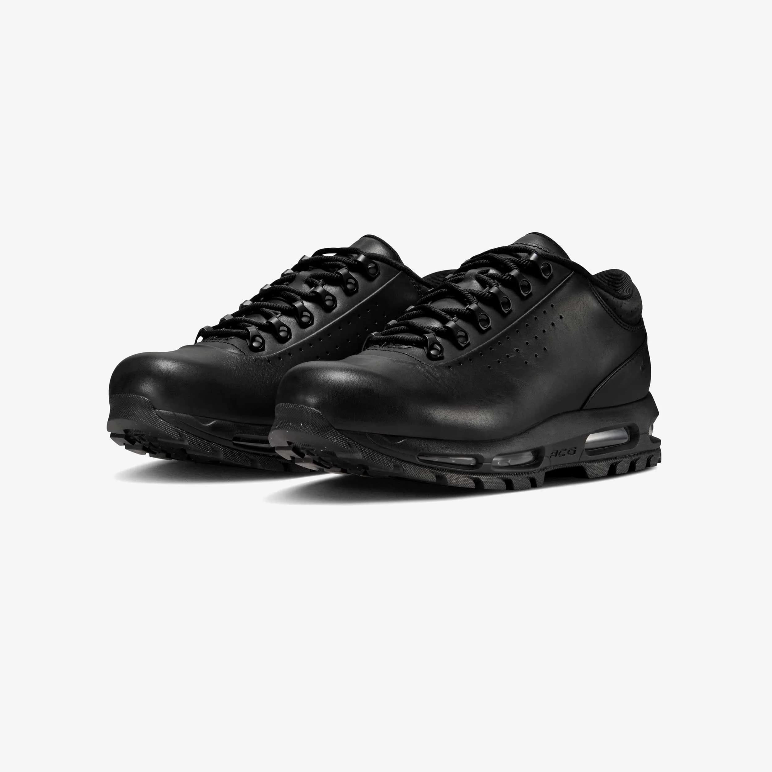 Air Max Goadome Low SP 2
