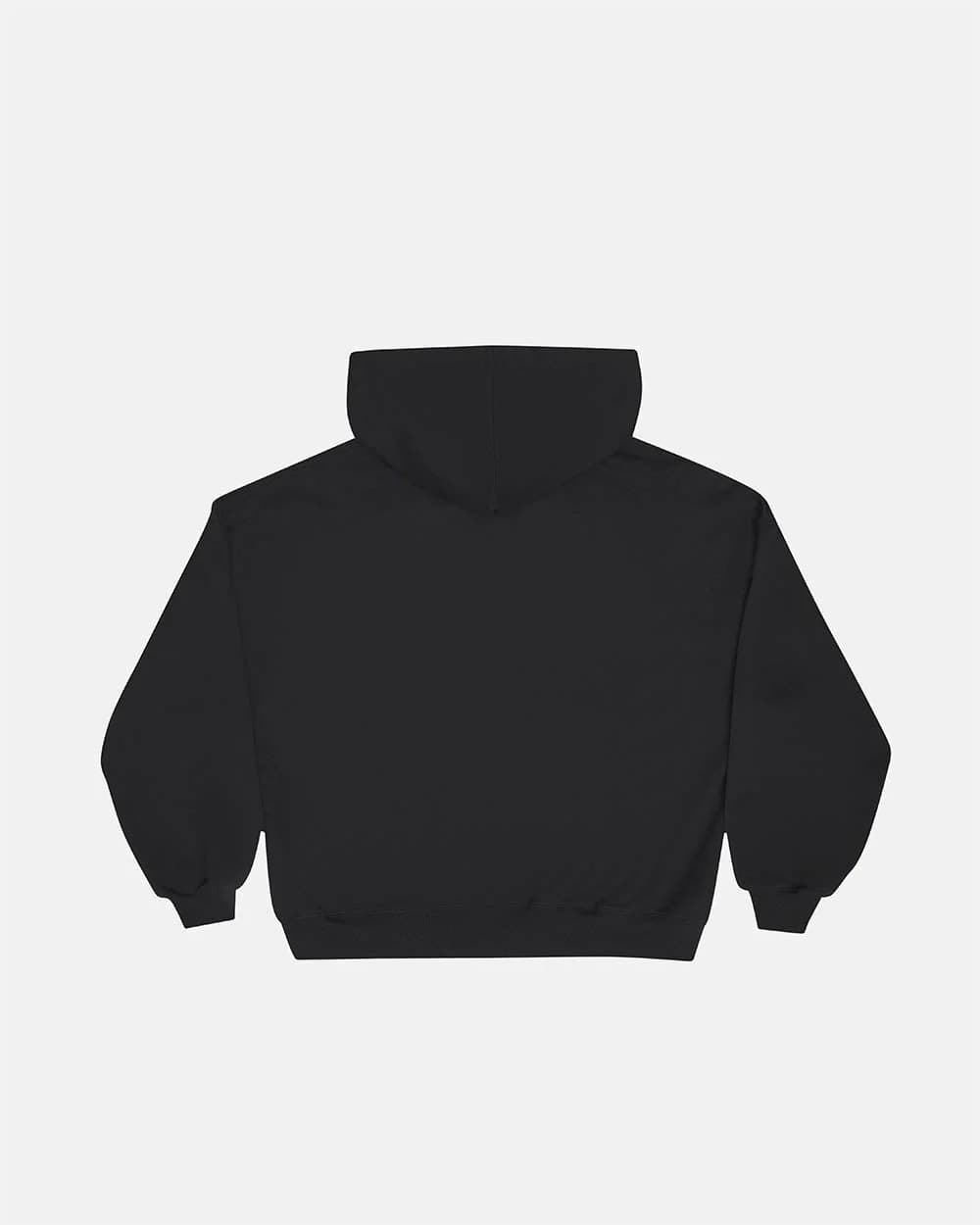 DRIVEN ZIP HOODIE BLACK 3