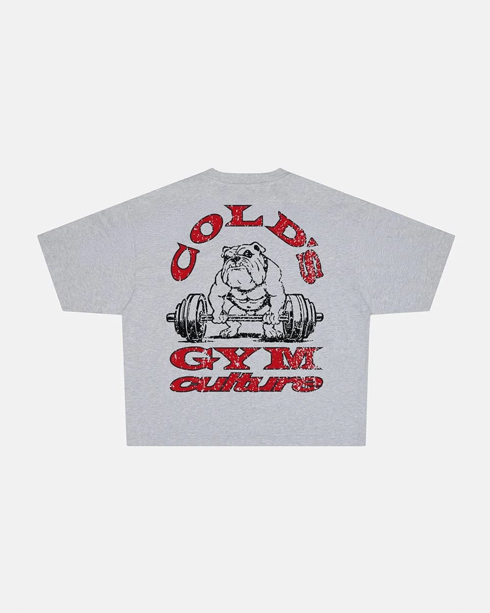 COLD'S GYM BOXY TEE GREY by COLD CULTURE