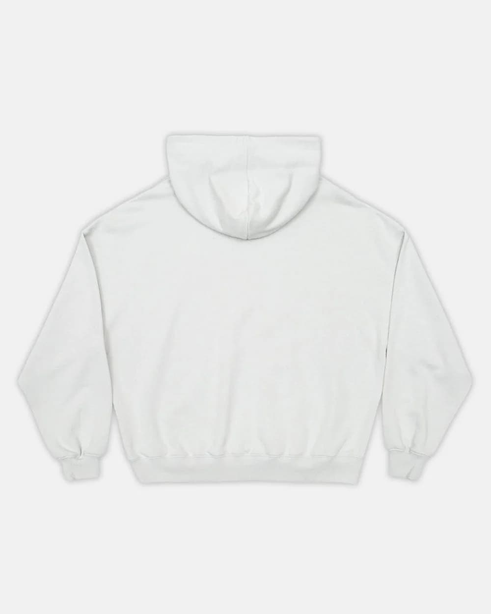 FORTUNE HOODIE PALE GREY 2