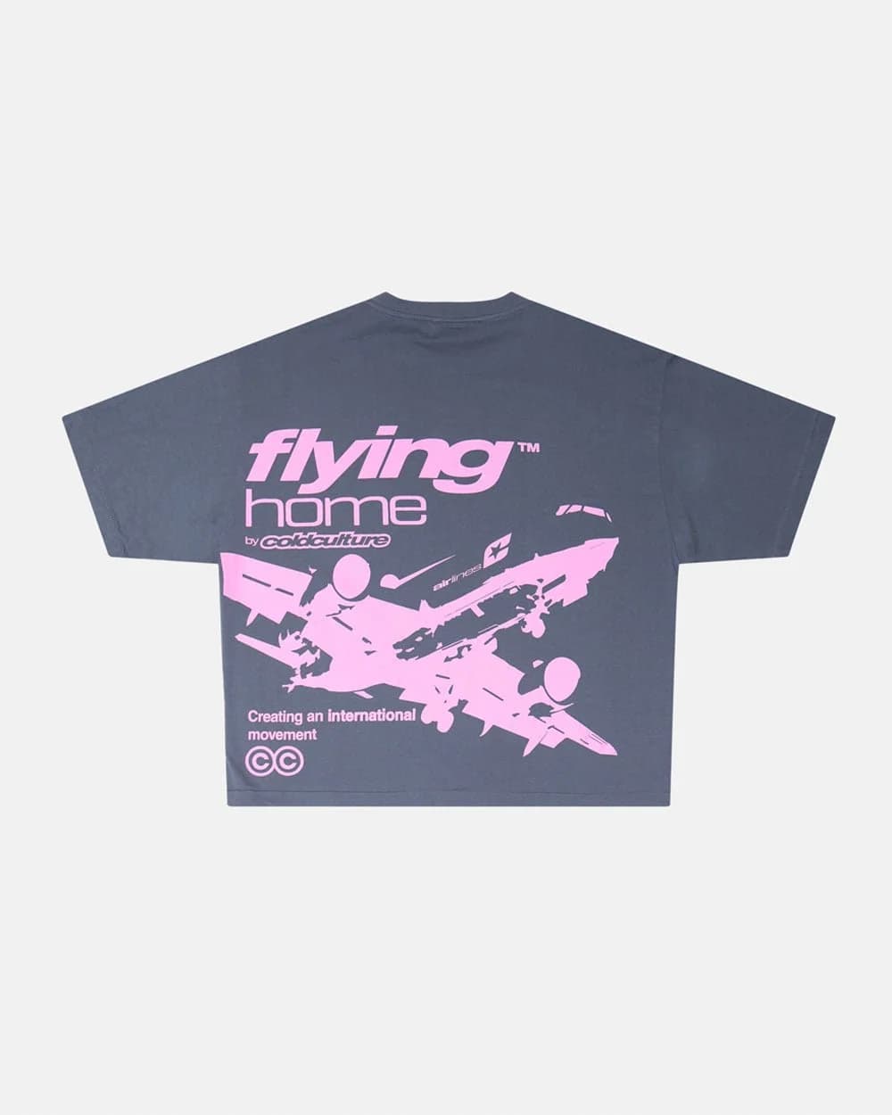 FLYING HOME TEE INDIA INK by COLD CULTURE