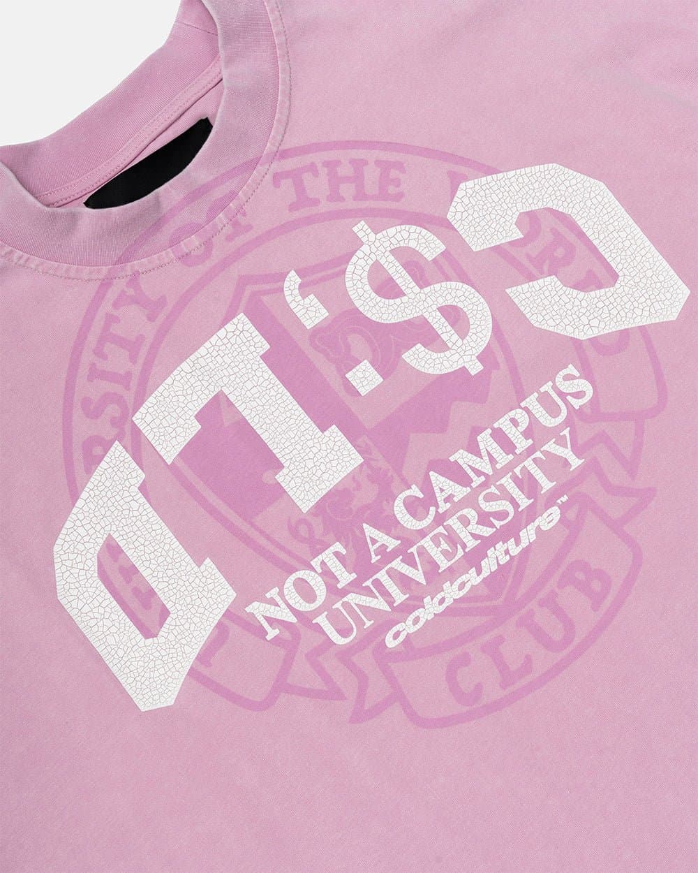 CAMPUS TEE PINK 5
