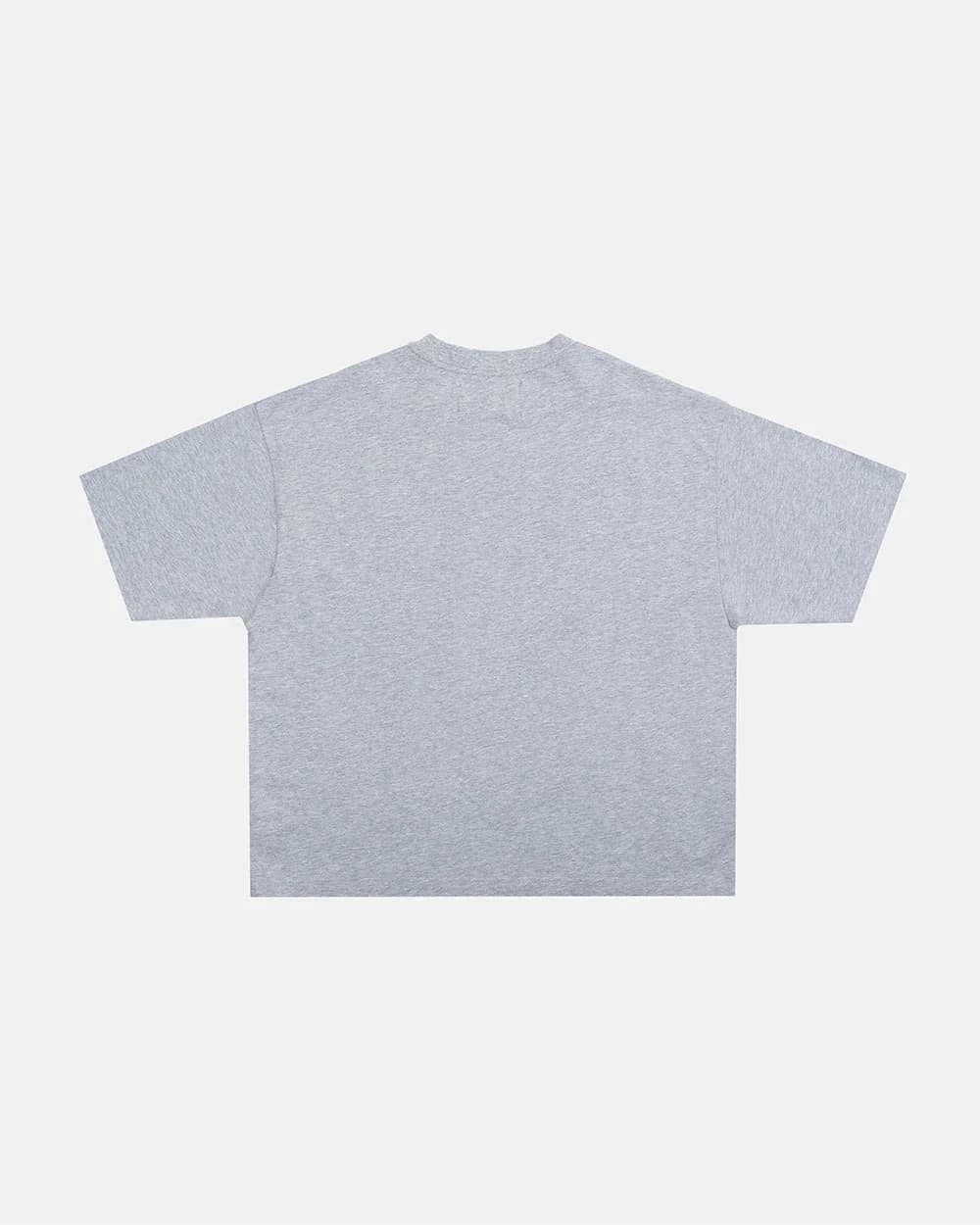 CAMPUS TEE HEATHER GREY 3