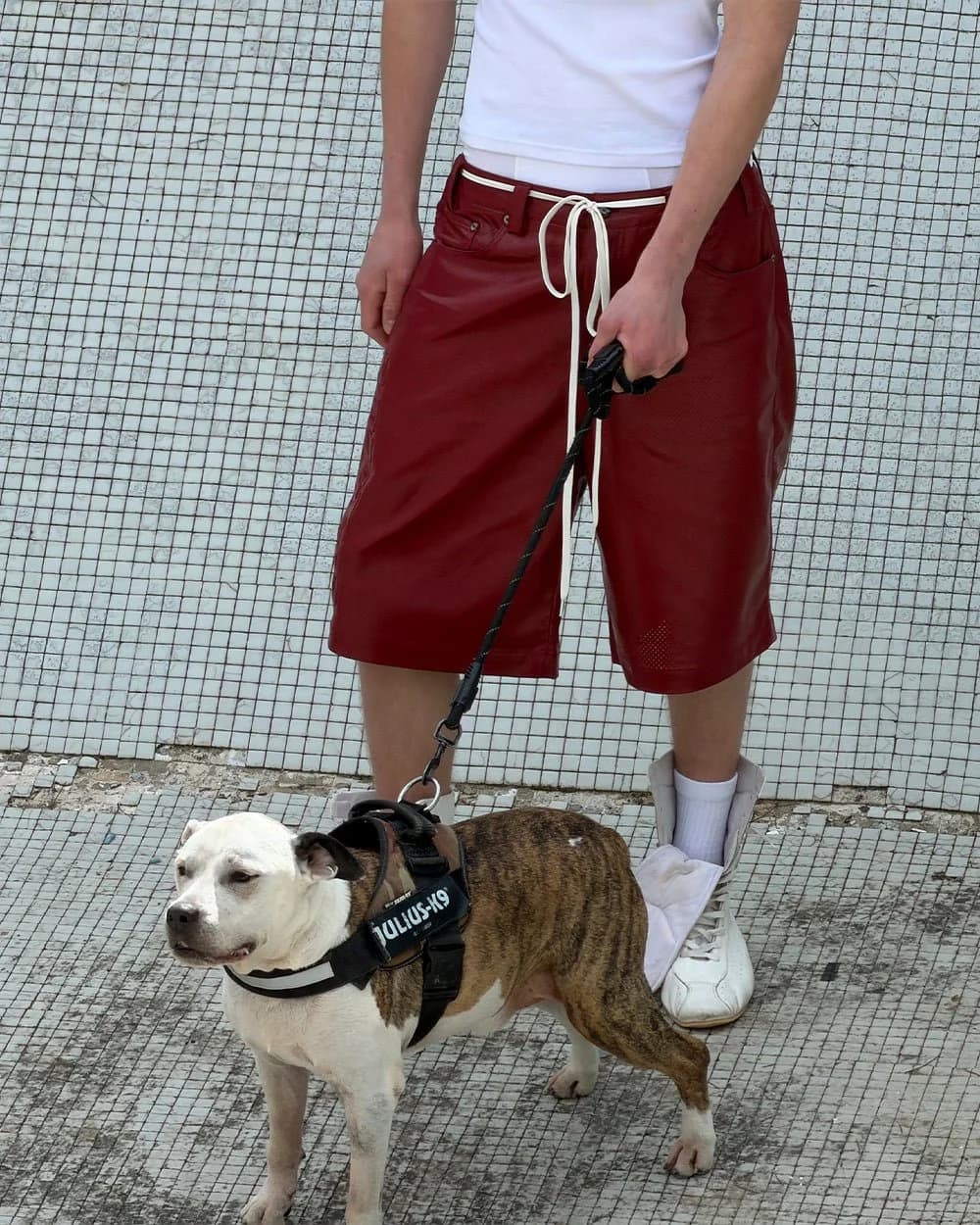 BRAVE SHORT BURGUNDY 10