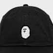 Ape Head One Point Panel Cap 5