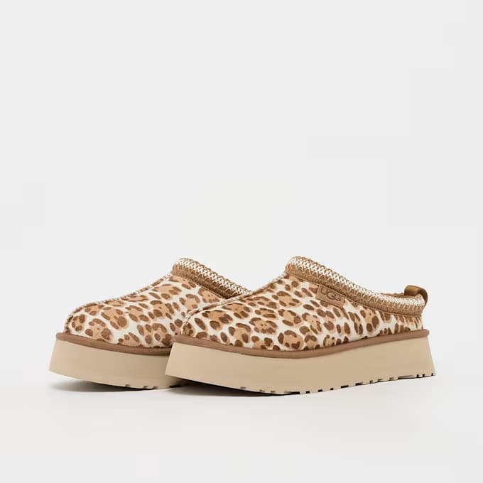 Wmns Tazz Plains 8