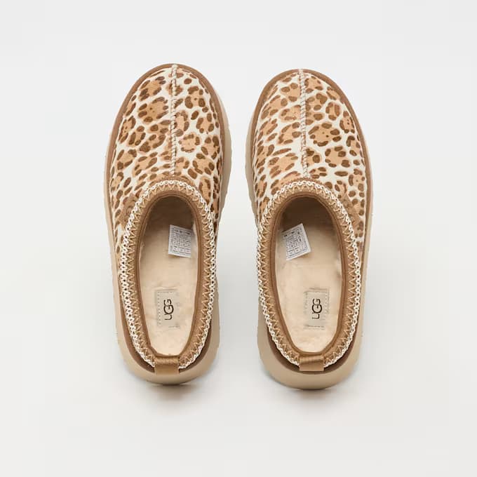 Wmns Tazz Plains 11