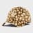 Animal Deer Print 9Twenty Cap LA Dodgers 11