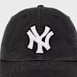 Herbarium ´47 MVP New York Yankees 5