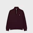 Halfzip Sweatshirt 2