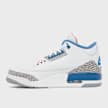 Air Jordan 3 Retro OG "True Blue" 4