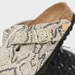 Boston Print LEVE (narrow) "Snakeskin" 8