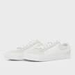 Blazy Leather 2
