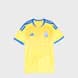 Ukraine 26 Home Replica Jersey 16