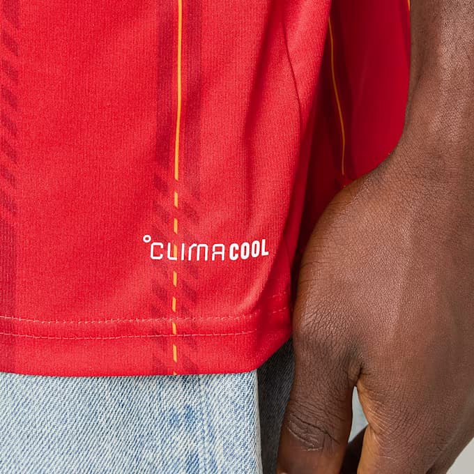 Spain 26 Home Replica Jersey 15