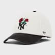 Herbarium ´47 MVP New York Yankees 2