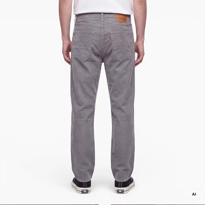 Red Tab 578 Fine Corduroy Pant 8