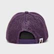College Mesh Cap purple 3