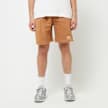 Equator Shorts 3