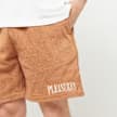Equator Shorts 7