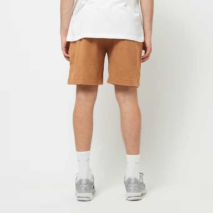Equator Shorts 11