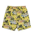 Resort Swimshorts 2