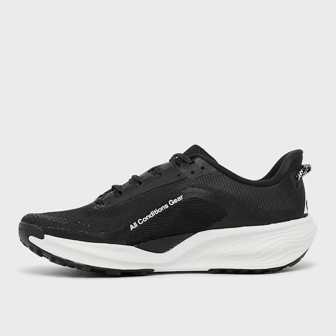 ACG Pegasus by Nike