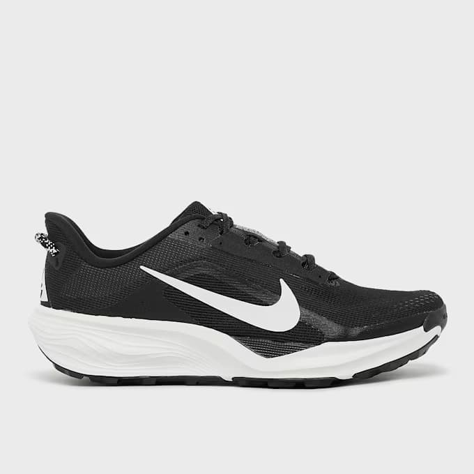 ACG Pegasus by Nike