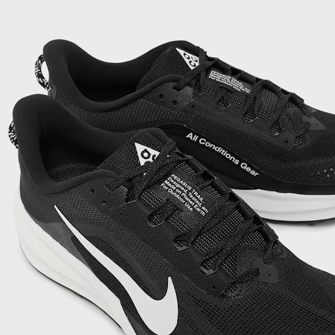 ACG Pegasus by Nike